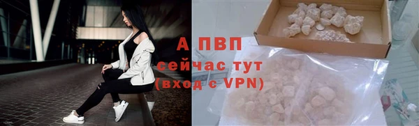 ГАЛЛЮЦИНОГЕННЫЕ ГРИБЫ Вяземский