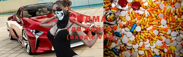 ГАЛЛЮЦИНОГЕННЫЕ ГРИБЫ Вяземский