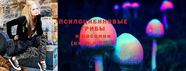 ГАЛЛЮЦИНОГЕННЫЕ ГРИБЫ Вяземский