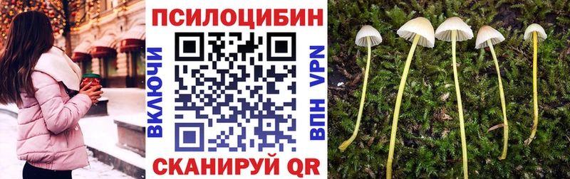 это состав Златоуст Галлюциногенные грибы Cubensis